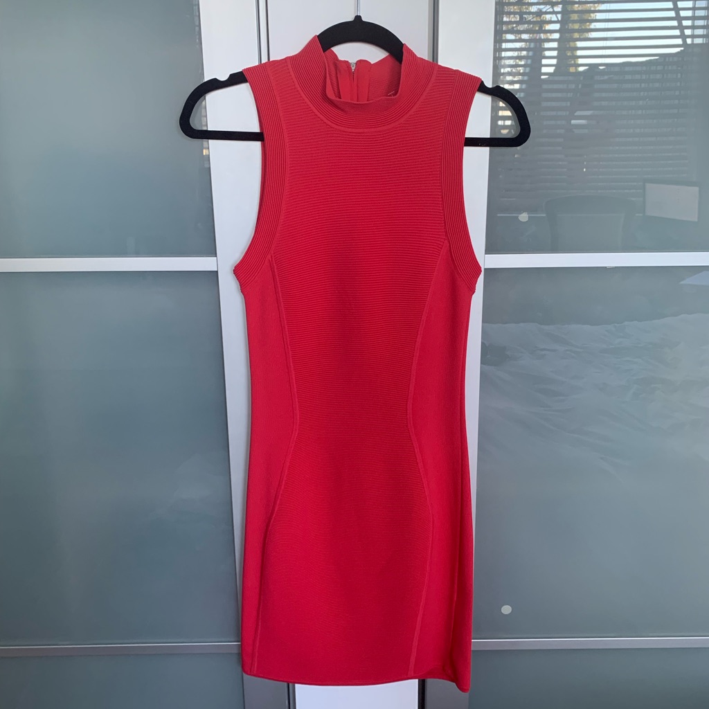 Nwt Parker - Sleeveless Turtleneck Dress, Rosebud